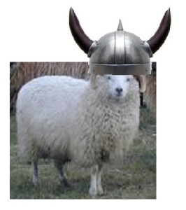 viking sheep